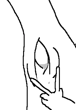 >No one
>Every anime girl showing off her armpit 
