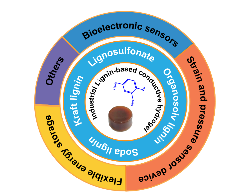 Polymers_MDPI's tweet photo. #ReviewPublished
📢Conductive #Hydrogels Based on Industrial #Lignin: Opportunities and Challenges by Shuaiming He et al.
👉Full paper here: https://t.co/cGXsEr1Neq https://t.co/6j2uDTzfp1