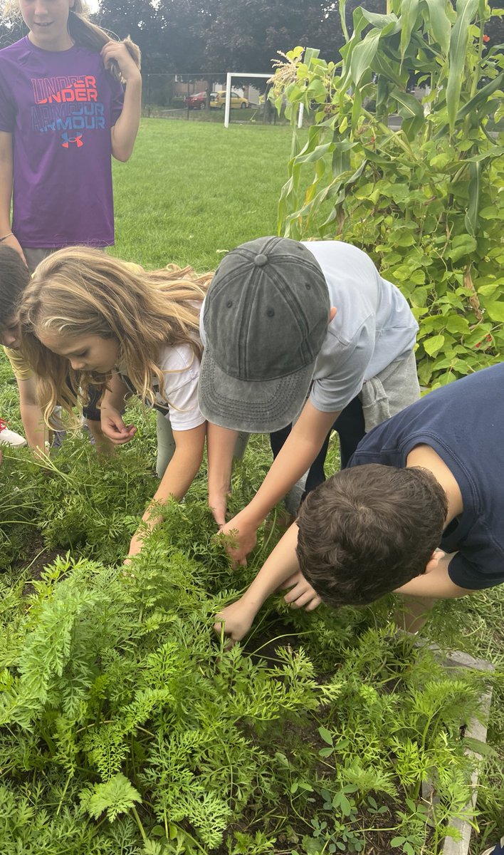 Mrs. Ows tweet media