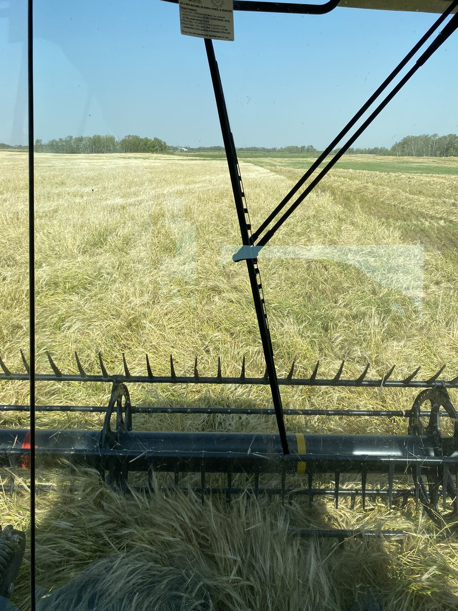 You can take the boy off the farm, but can’t take the farm out of the boy. A long time since I have had this view.