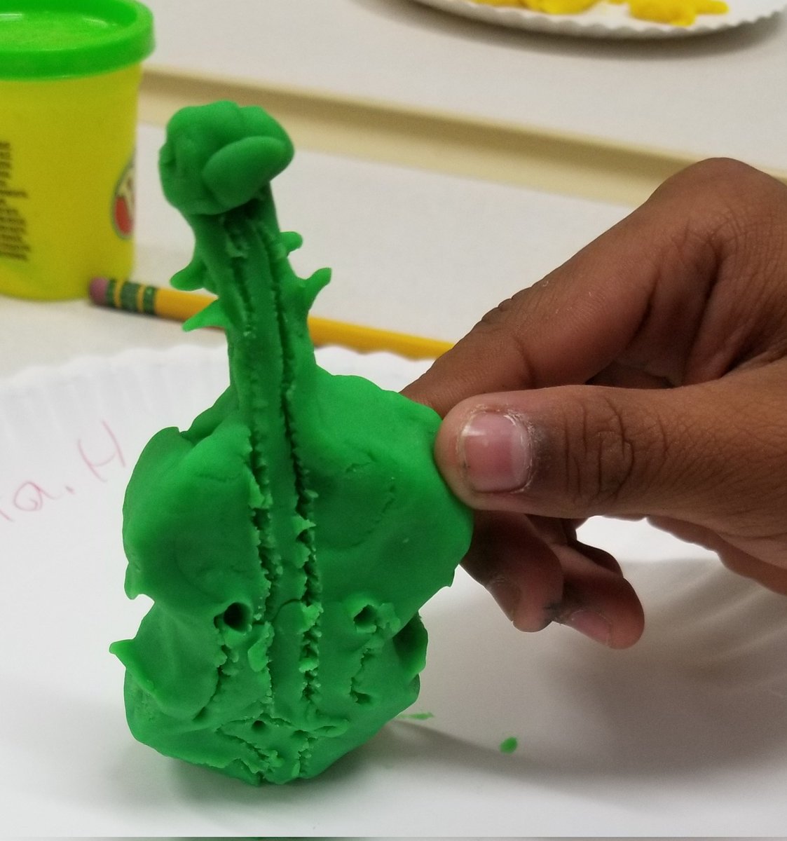 Sandy Coleman tweet media