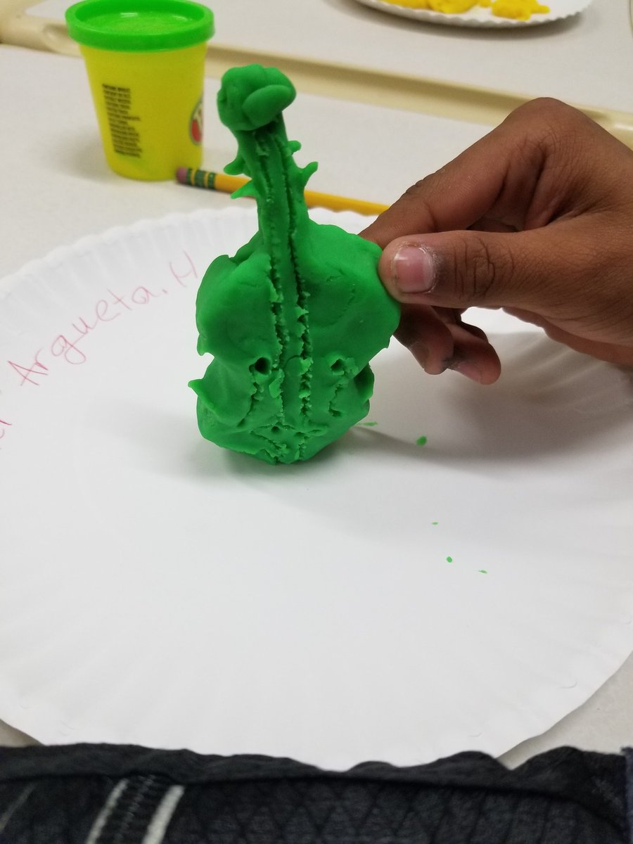 Sandy Coleman tweet media