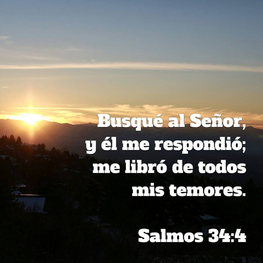 roxfiore's tweet photo. Ora a Dios y Él te oirá y te librará de tus temores. https://t.co/BnBUIBhee8
