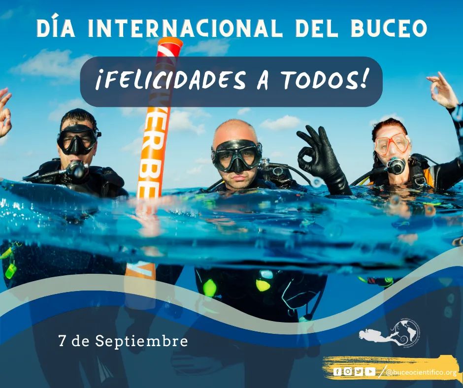 BuceoCientifico's tweet photo. #DatoDelDía 

🤿El 7 de septiembre es el Día Internacional del Buceo y la Limpieza Submarina.
 Felicidades a todos en este día, gracias por creer en nosotros,  nuestra comunidad de Buceadores por el Conocimiento de los Mares crece cada vez más.
 #BUCOM #DivulgaciónCientífica https://t.co/GubXtsw5uL