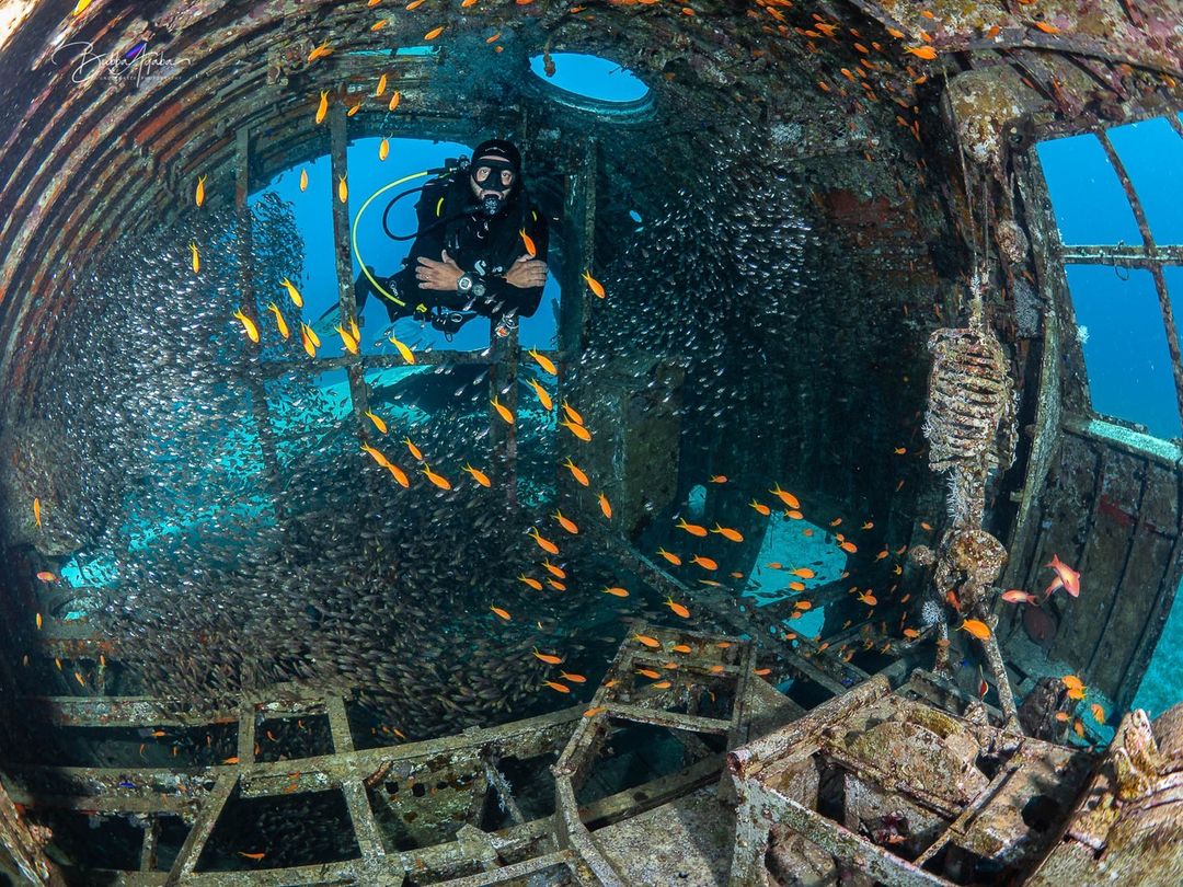 PADI's tweet image. Tell us about the coolest wreck you have ever visited? ✈🤿

📷 IG user &apos;bubba_aqaba&apos;
📍 C-130 Hercules Wreck Aquaba