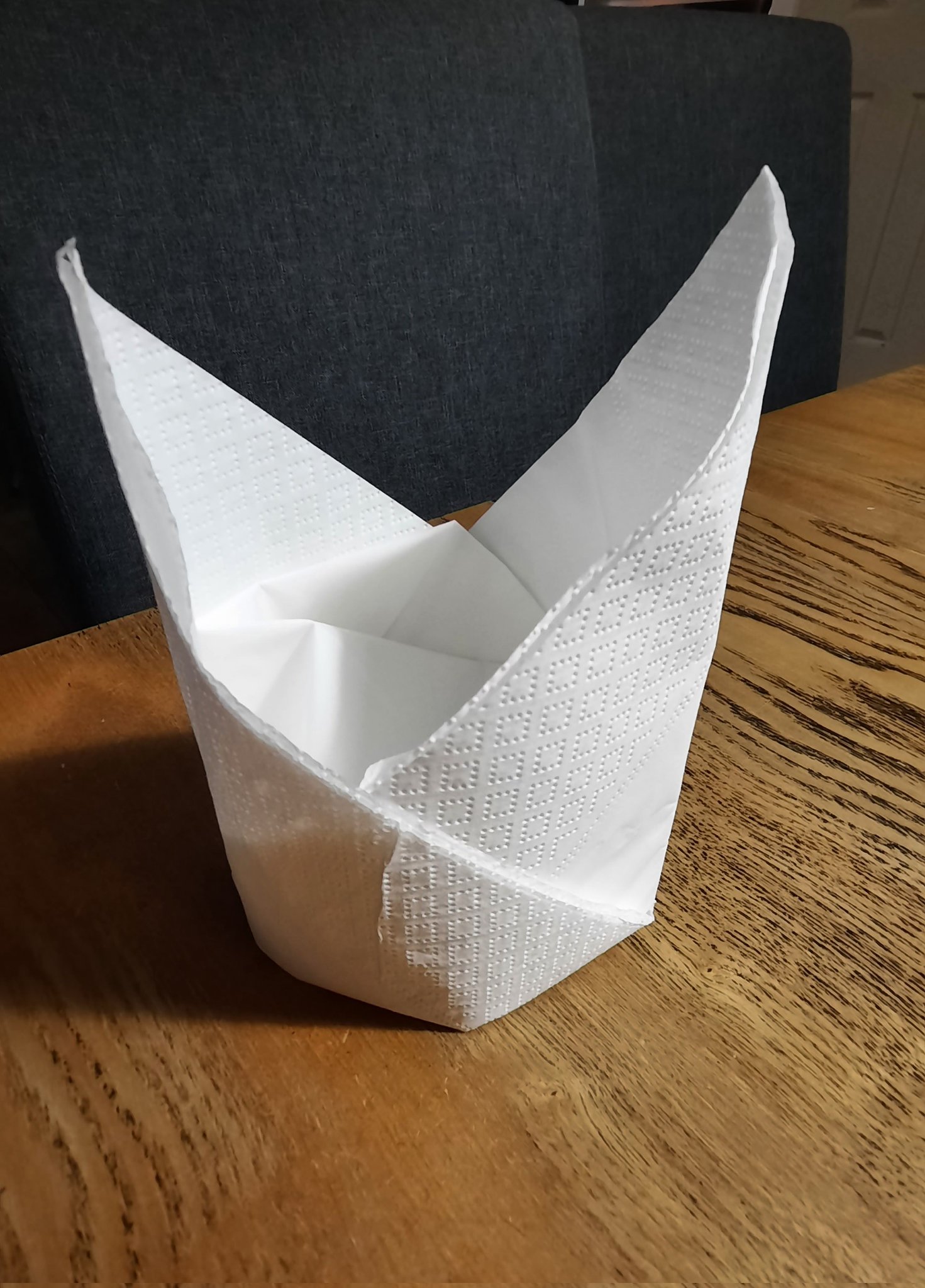 Allayne Webster on Twitter: "I present the pride of my 80's skillset: Napkin Crown 👑 As a 16 y.o. waitress, I folded approx 30 gazillion. Also: The Fan and The Swan -