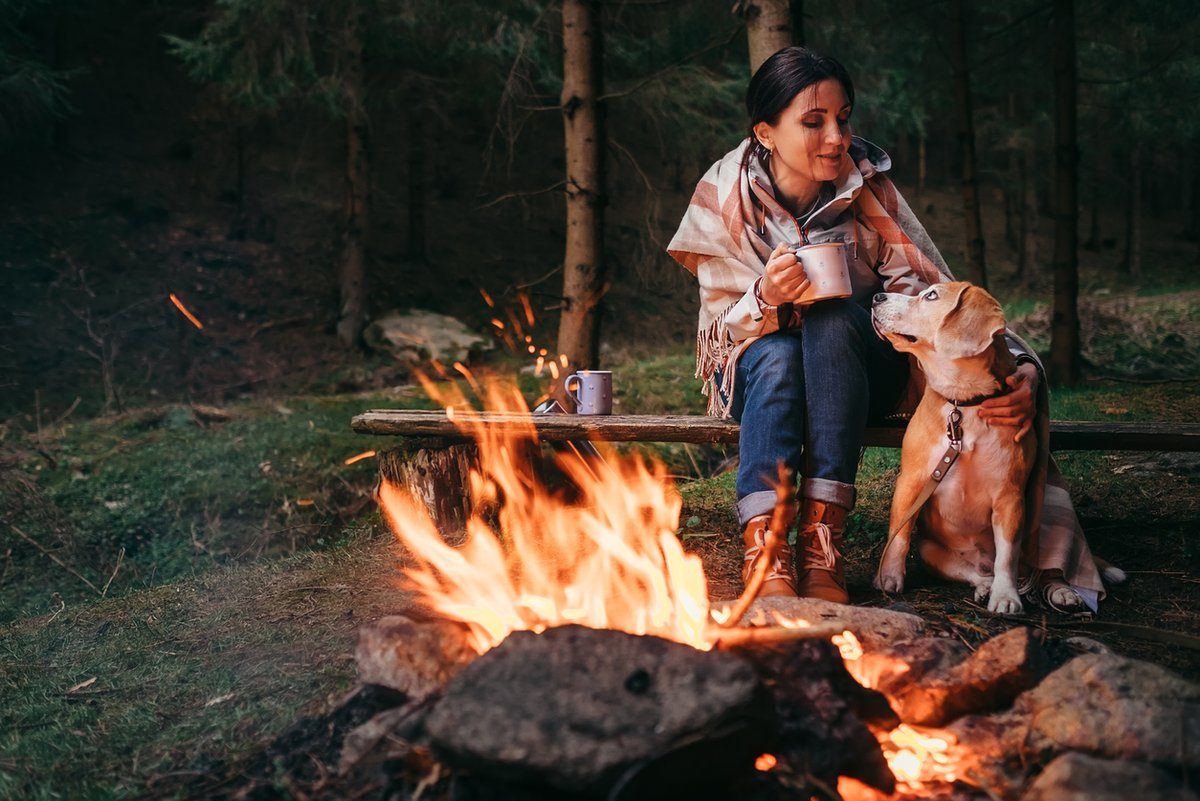 Do you ever have trouble booking camping spots? Let's Camp is an online platform that helps people find and secure campgrounds.

📷: Let's Camp

#ExploreBC #WildernessTourismBC #ExploreWildBC

letscamp.ca