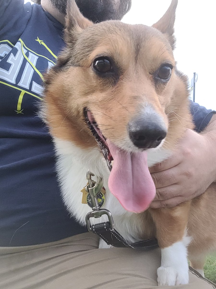 ChemSongAndSax's tweet photo. This pup is enjoying her fifth Trash the Poop Wednesday this summer with the Columbia Fireflies at Segra Park! #LetsGlow https://t.co/G5ZNavpwQL