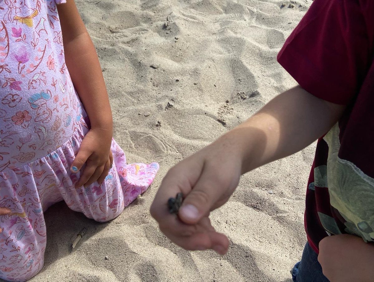 Ms.Pastore (@ms_pastore) on Twitter photo Day one: Complete. First day and we already have our work on the class bulletin and explored the big yard and found a garter snake and lots of crickets!!! SK/1 is going to be a lot of fun this year! <a href="/SMCDSB_SNC/">St. Noel Chabanel</a> <a href="/SMCDSB/">Simcoe Muskoka Catholic District School Board</a> <a href="/3marydm/">Mary Day-Mauro</a> Day one: Complete. First day and we already have our work on the class bulletin and explored the big yard and found a garter snake and lots of crickets!!! SK/1 is going to be a lot of fun this year! <a href="/SMCDSB_SNC/">St. Noel Chabanel</a> <a href="/SMCDSB/">Simcoe Muskoka Catholic District School Board</a> <a href="/3marydm/">Mary Day-Mauro</a>