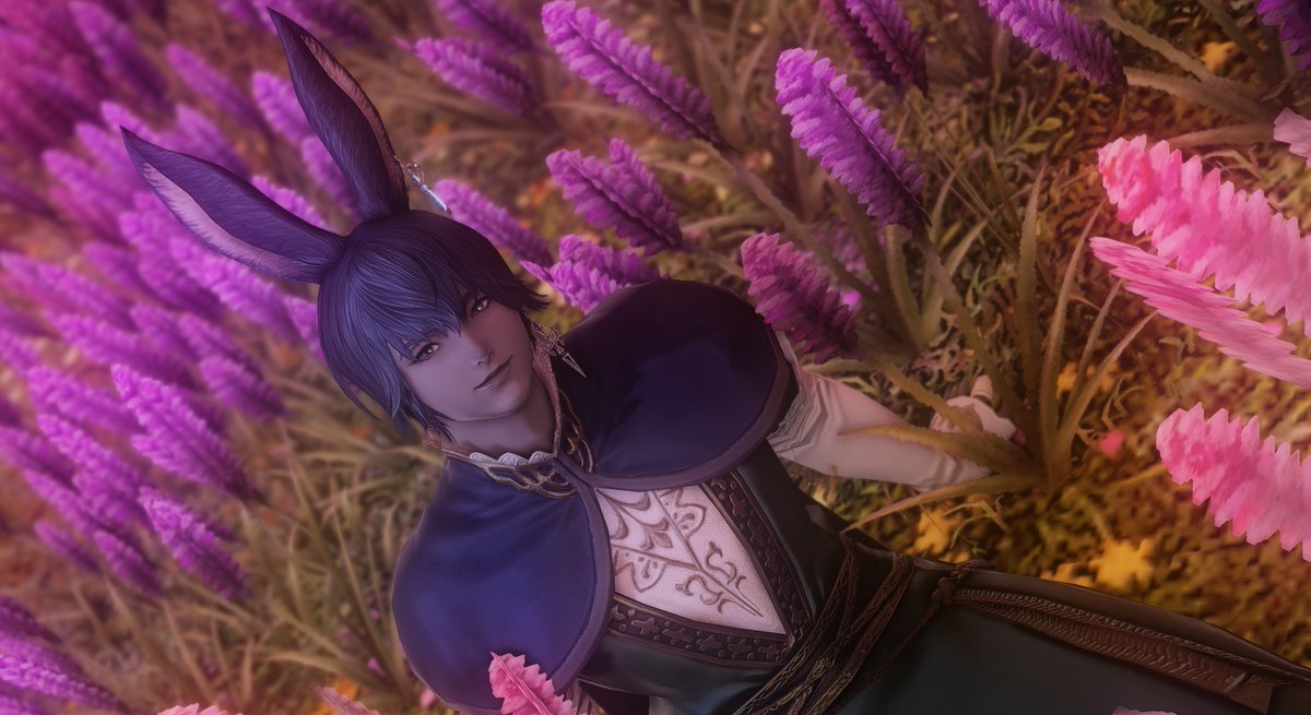 CDhoro's tweet image. Love him