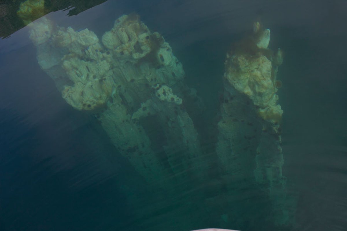 According to folklore, seeing the #ikaite columns was a bad omen. These were ghosts of Vikings who drowned as they were chased to the ice during a battle. Took this pic in the Ikka fjord, Greenland, on a windless day in 2018. Still trembling. #MinCup2022 #MinCup