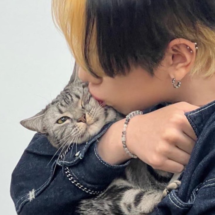 1120bean's tweet photo. 달이 표정 어디서 많이 봤다 했는데ㅜㅜㅠ 아 https://t.co/L7lTLcAm7s