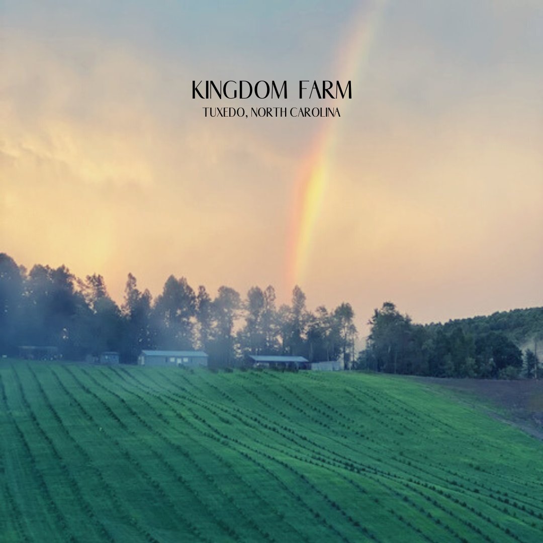 KHCBD's tweet photo. Somewhere over the rainbow....
Your hemp grows!....

until we can carefully extract it, and craft your favorite Kingdom Harvest Products.

#KingdomHarvest #KingdomFarms #organic #organicfarm #hemp #farm #rainbow #somewhereovertherainbow #whatdreamsaremadeof #seek #the #difference https://t.co/ccnZoJxEiF