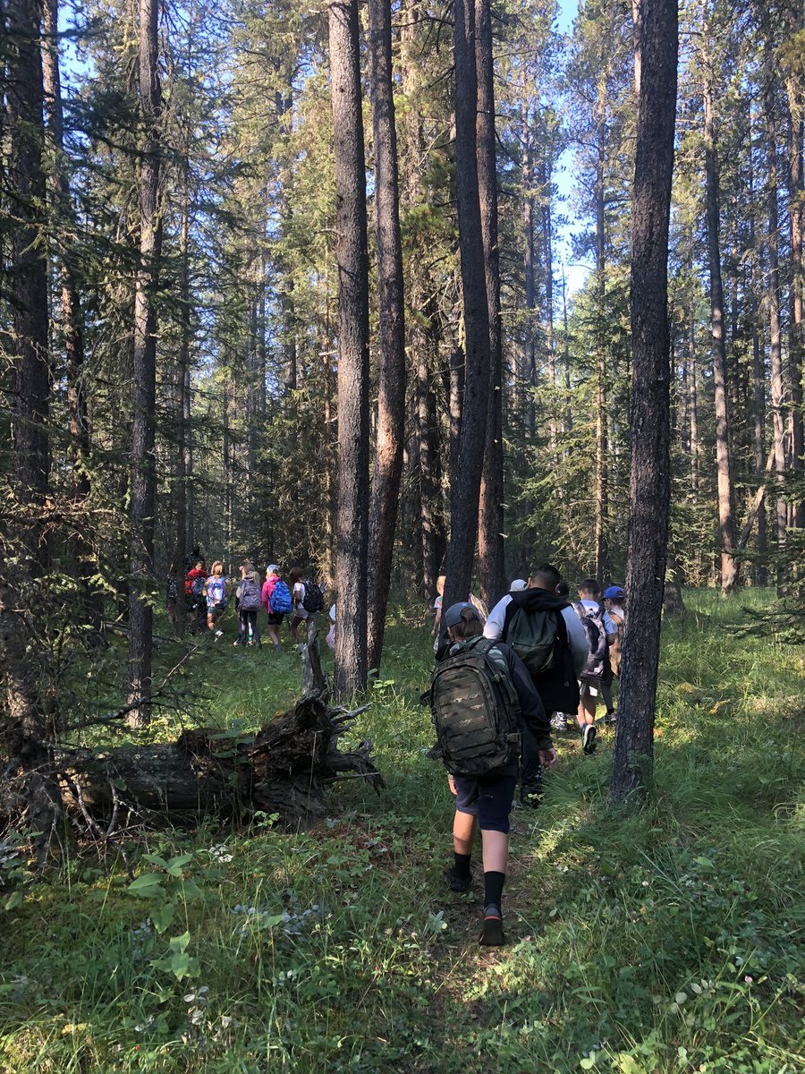 ASpelrem1's tweet photo. What a great first few days back @bandedpeakrvs! Today we spent the entire day outdoors. This included our music lesson, too 🎵🌲🏃‍♀️#rvsed #abed https://t.co/Hkg9THYNW1