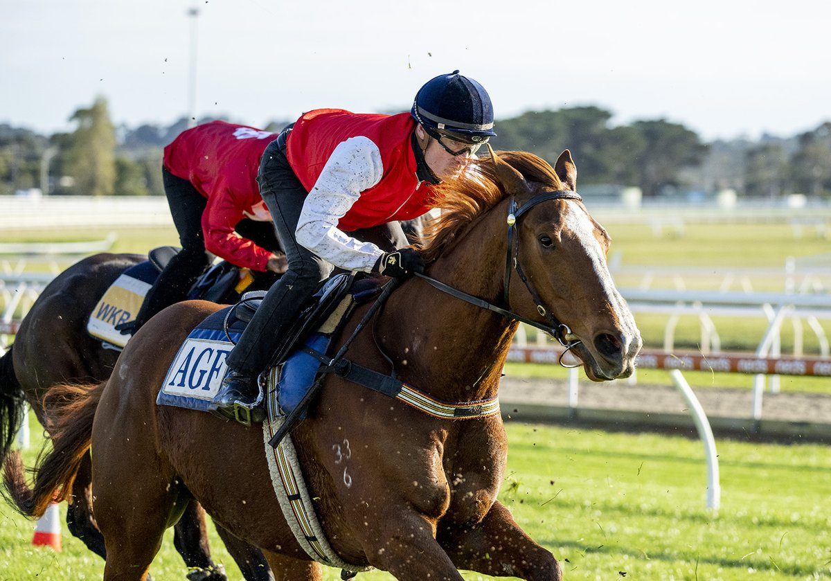 Anthony Freedman Racing tweet media