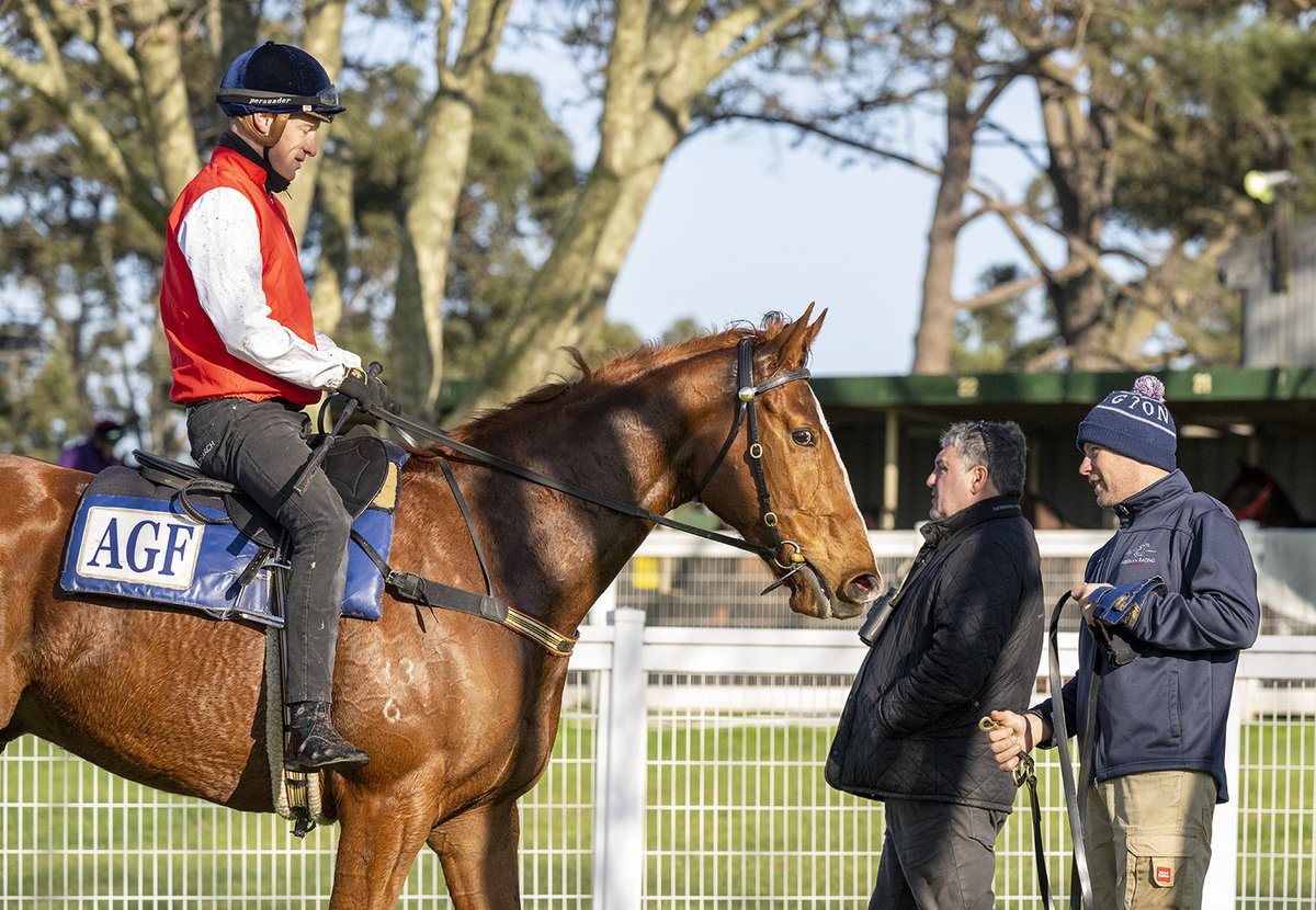 Anthony Freedman Racing tweet media
