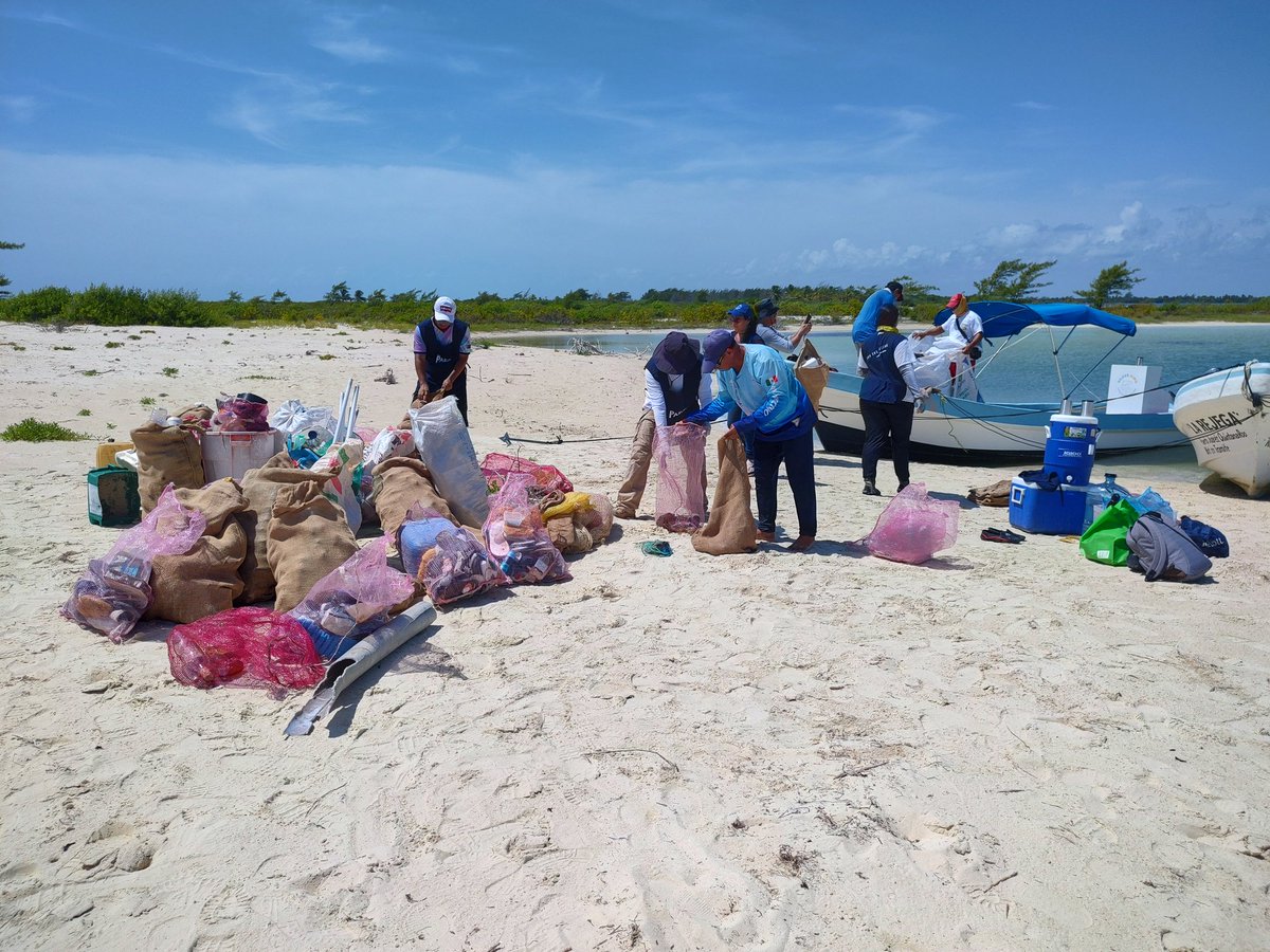 AgrotoursMx's tweet photo. @RenanSanchez_ Hola diputado, nosotros si trabajamos en favor del medio ambiente en la Reserva de la Biosfera Caribe Mexicano @jmontesino @SEMARNAT_mx @CONANP_mx https://t.co/7J5QcPbRut