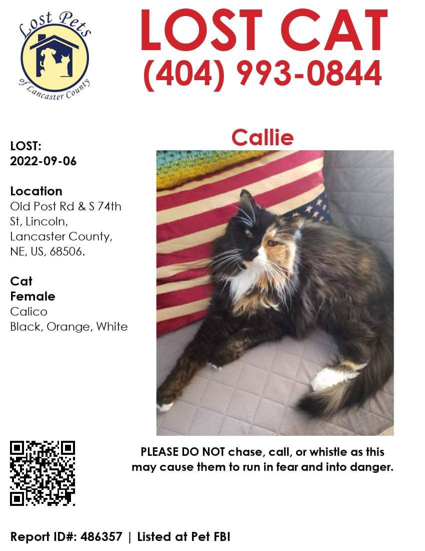 blueminad's tweet photo. Nebraska Friends PLEASE SHARE. We've lost our baby and she's never been outside https://t.co/1nAU6goMX6