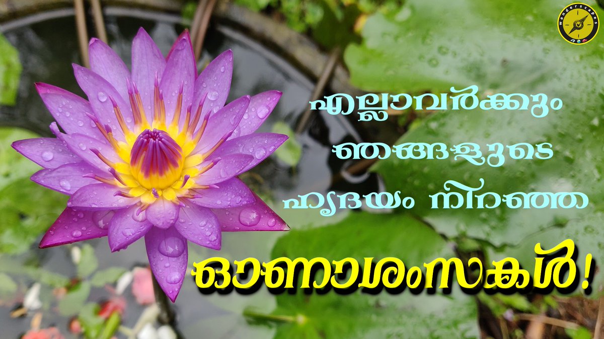Wanderscapes365's tweet photo. Happy Onam everyone 😍 #Onam2022 #OnamSpecial #onamcelebration #onamfestival #wanderscapes https://t.co/ZloBeNGI5W