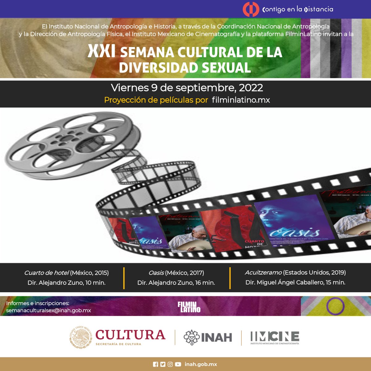 DiarioEsOrgullo's tweet photo. Como parte de la XXI Semana Cultural de la diversidad sexual, están disponibles películas LGBT+ durante 24 horas en la plataforma https://t.co/CRmvcmVHEL 🏳️‍🌈🏳️‍⚧️

Les compartimos la cartelera disponible al día de hoy. https://t.co/Gdka9jUVh2