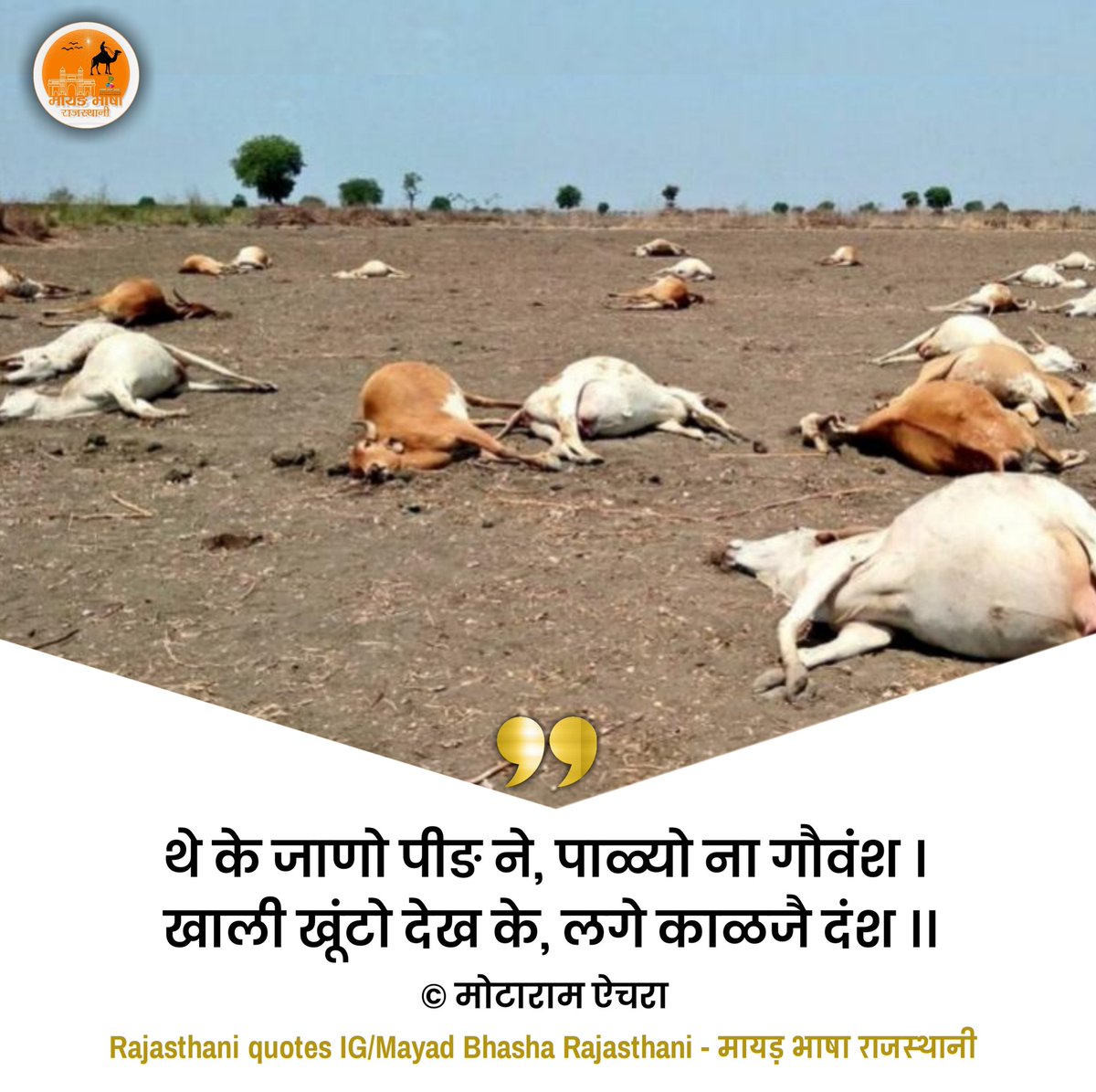 jkcmrc93's tweet photo. #declarelumpyepidemic
@narendramodi 
प्रधानमंत्री जी कुछ तो करिए गौ माता के लिए 
गाय की ये दुर्दशा देखकर आप से विश्वास उठ रहा है अब 
हमारे राजस्थान के नेता तो सभी गहरी नींद में सो रहे है । @AmitShah
@DrSatishPoonia @KailashBaytu @gssjodhpur https://t.co/wguTWgneFI