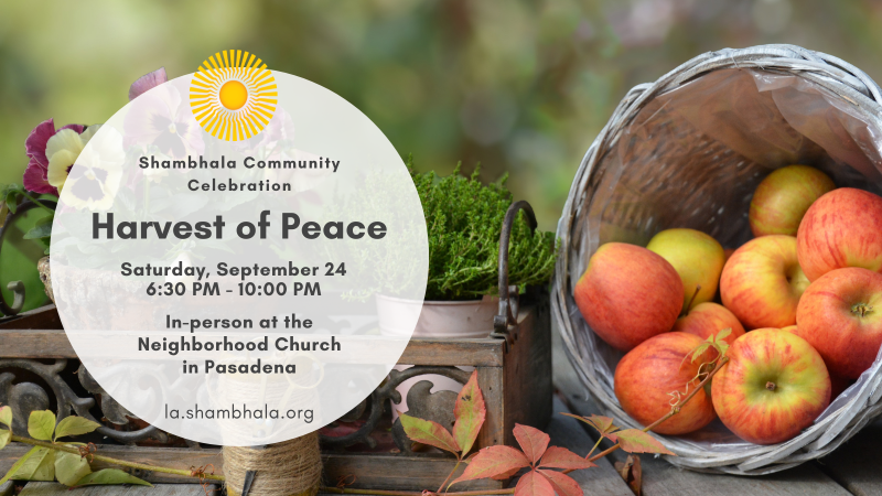 Harvest of Peace Community Celebration is September 24 in Pasadena - It’s a time of encouragement, raising each other’s energy and rousing excitement for the year to come. Members and friends are invited to reconnect with the Shambhala community. mailchi.mp/b48e314a2d99/f…