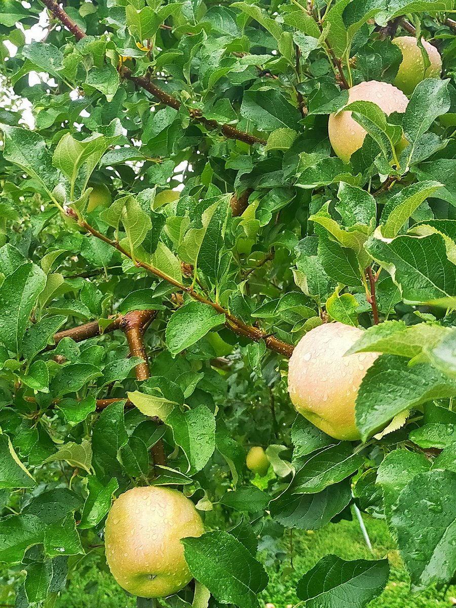 須坂市移住応援サイト スザカでくらす 移住関連情報