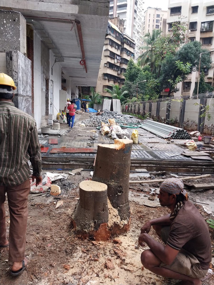 AndheriLOCA's tweet photo. The Park
Oshiwara
Next to shantivan society
Andheri West
Ward 61
Several Trees cut without permission apparently
@mybmcwardkw @mybmc
Plz file a case If violation done
@ranjeetnature @mybmcGardens @MonaAmbegaonkar @pryagaroradesai @ranjjatwork @IqbalSinghChah2
@AUThackeray https://t.co/zHqfvPfJlT