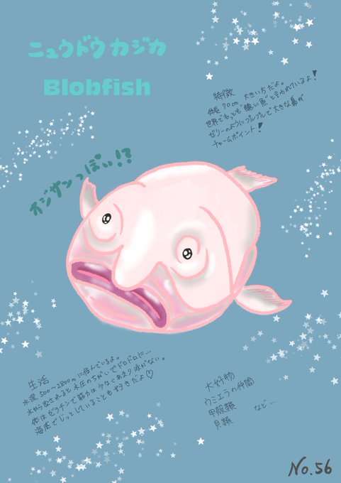 深海生物のtwitterイラスト検索結果