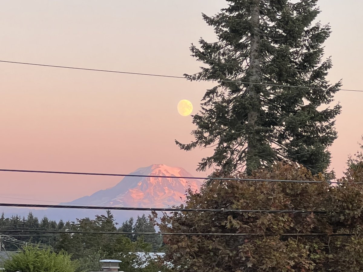 Katie Felix tweet media