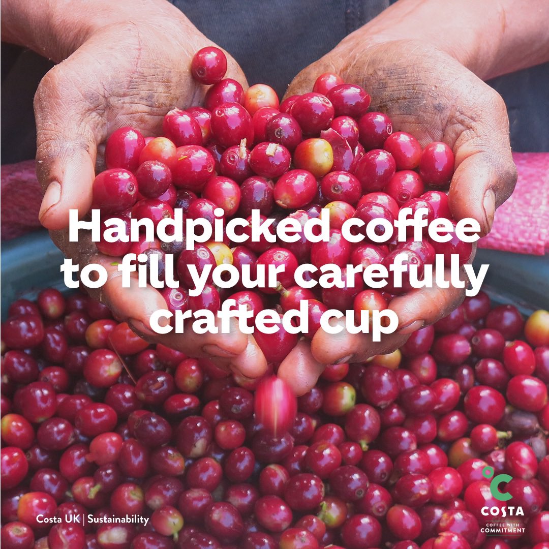 CostaCoffeeSGP's tweet photo. Our coffees are 100% Rainforest Alliance certified. It means that we contribute back into the coffee-growing communities through every cup we serve.

#greatlilredcup #costacoffeesg #coffee #sgcoffee #sgfoodies #coffeetime #coffeelover https://t.co/EGTrPNmWhZ