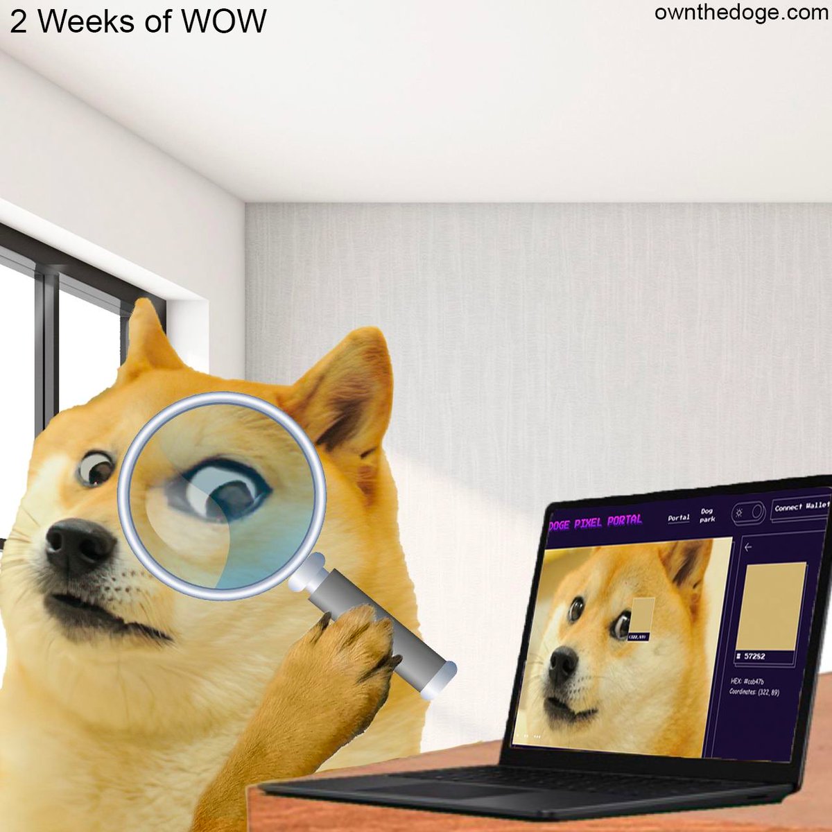 Own The Doge 🐶🖼 tweet media