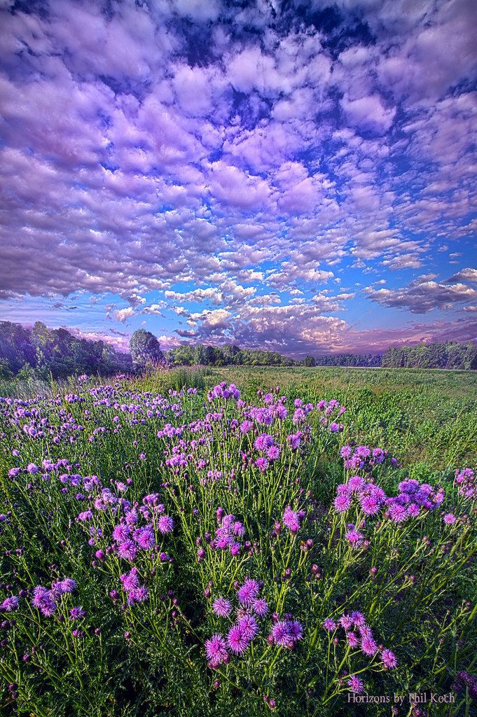 Good morning 💜💚