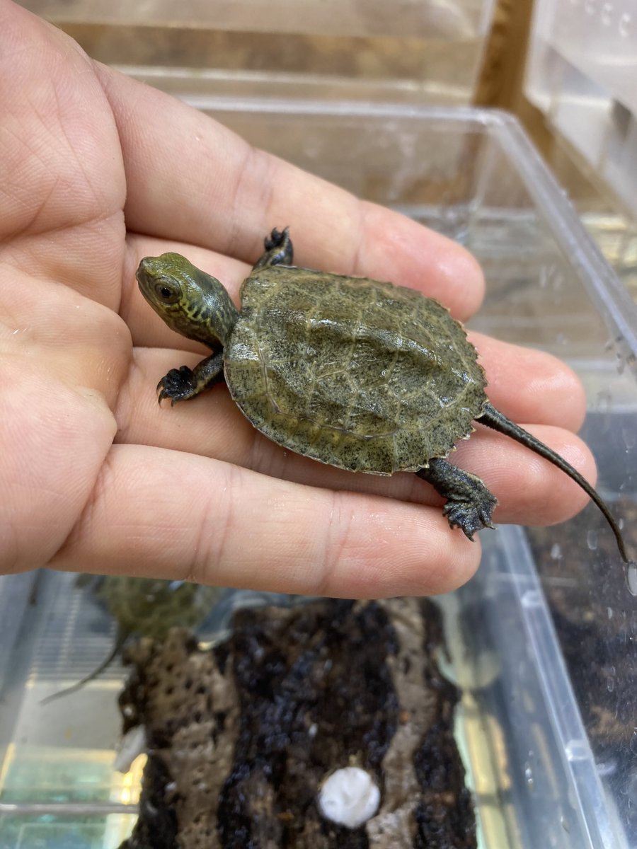 F3ko94qascwz0m F3ko94qascwz0m