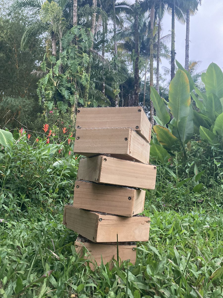 mrmicrobe44's tweet photo. Building IMO collection boxes out of untreated cedar wood to collect and preserve beneficial micro organisms πͺπ
#knf #microbes #nft #nfts #nftproject #nftcommunity #soil #microbiology #soilhealth #soilscience #imo #imo1 #imo2 #diy #nftartist #nftdrop #sustainability #garden https://t.co/7pQeKzpojI