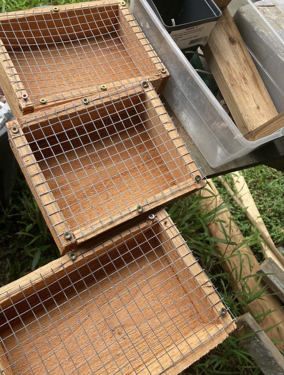 mrmicrobe44's tweet photo. Building IMO collection boxes out of untreated cedar wood to collect and preserve beneficial micro organisms πͺπ
#knf #microbes #nft #nfts #nftproject #nftcommunity #soil #microbiology #soilhealth #soilscience #imo #imo1 #imo2 #diy #nftartist #nftdrop #sustainability #garden https://t.co/7pQeKzpojI