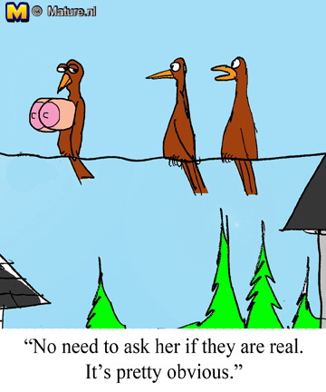 Official Mature.nl on Twitter: "#Cartoonoftheday #mature #milf"