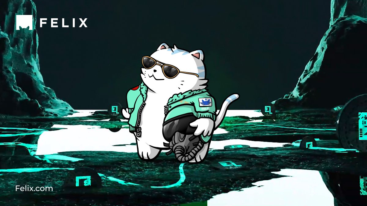 Felix_Exchange's tweet photo. ๐๐ซ๐๐ฉ๐๐ซ๐ข๐ง๐ ๐๐จ๐ซ ๐๐๐ฎ๐ง๐๐ก
๐ป Metaverse preparing for launch
๐ป @projectquint has begun its testing on https://t.co/sJ8hnsfajN
๐ป $QUINT will be live for trading in the next few days
๐ป @BNBCHAIN is coming to play on Felix
#FelixFrens #DeFi2CeFi https://t.co/1UxvS3glLZ