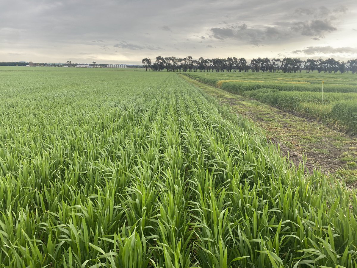 LeeV1800's tweet photo. Day four on tour is going well, stopped at the Hyper yielding crop research facility this morning. Great landscape as always #thegrdc https://t.co/ew3yJFThLz