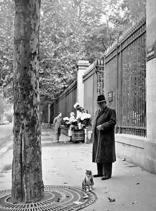 MFB44's tweet photo. Homme marchant avec son chat, rue Guynemer
Photo Izis, années 1950 #Johnd'Orbigny /FB https://t.co/b7tAEasUiq
