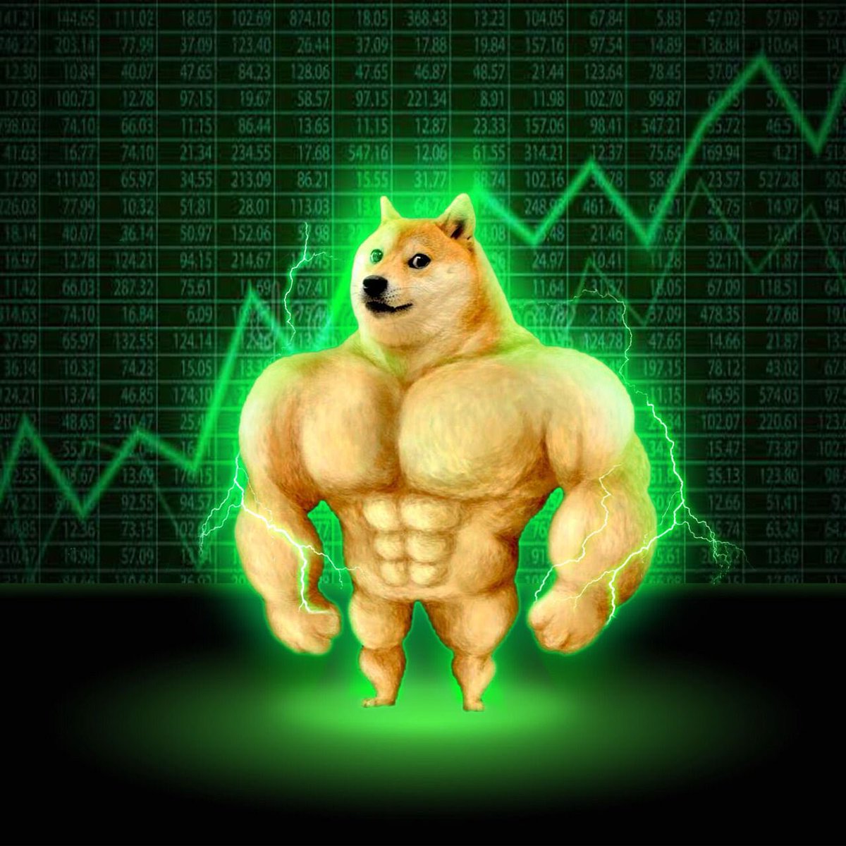 BuffDogeArmy tweet media