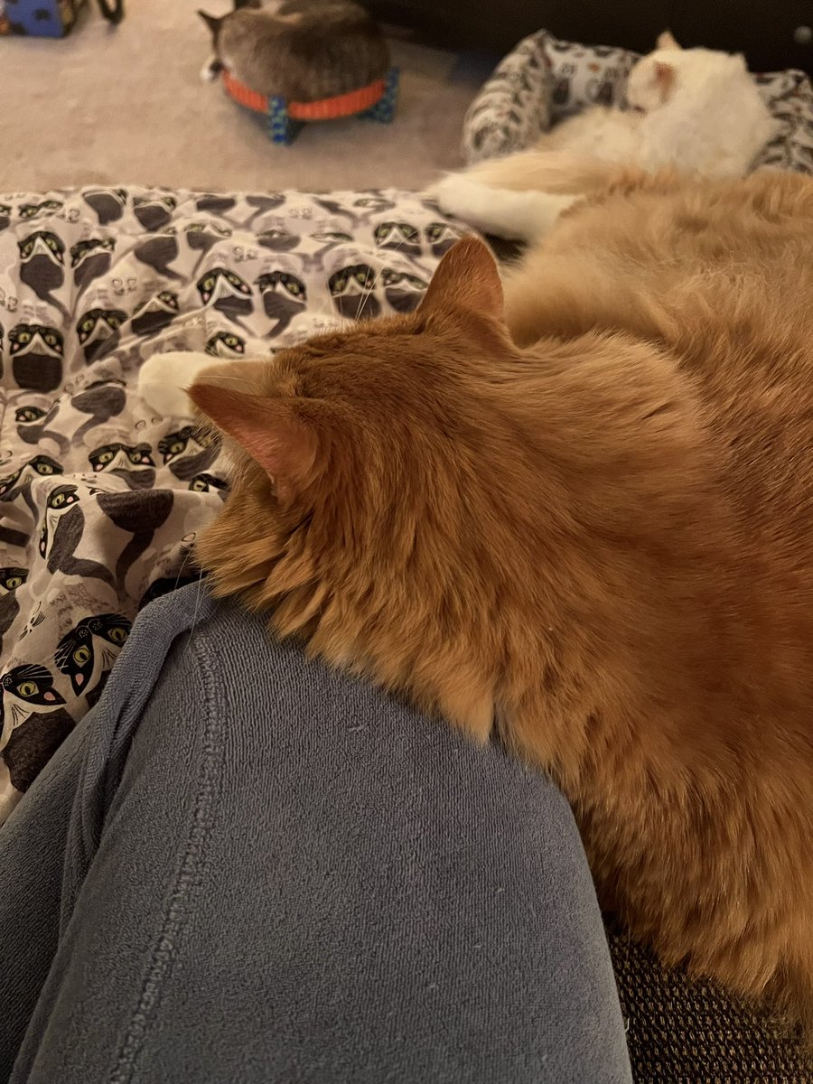 ItsMeDeaner's tweet image. Knee pillow #notmoving