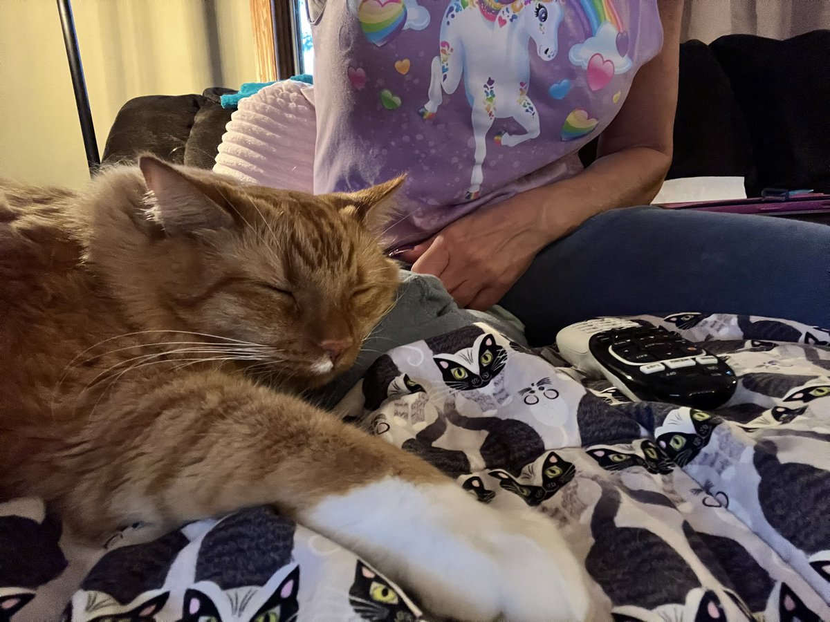 ItsMeDeaner's tweet image. Knee pillow #notmoving