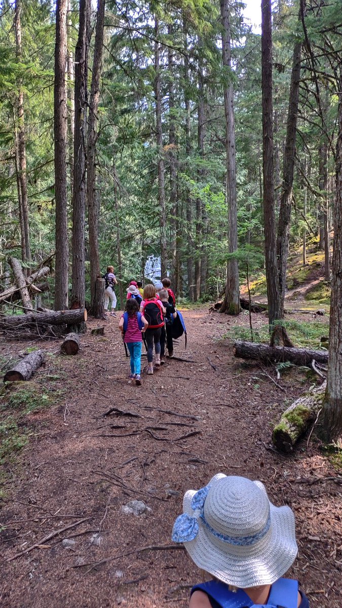Curtis Bendig (@curtisbendig) on Twitter photo W.E. Graham's Primary class starting the school year out in a good way in the forest. #sd8abed W.E. Graham's Primary class starting the school year out in a good way in the forest. #sd8abed