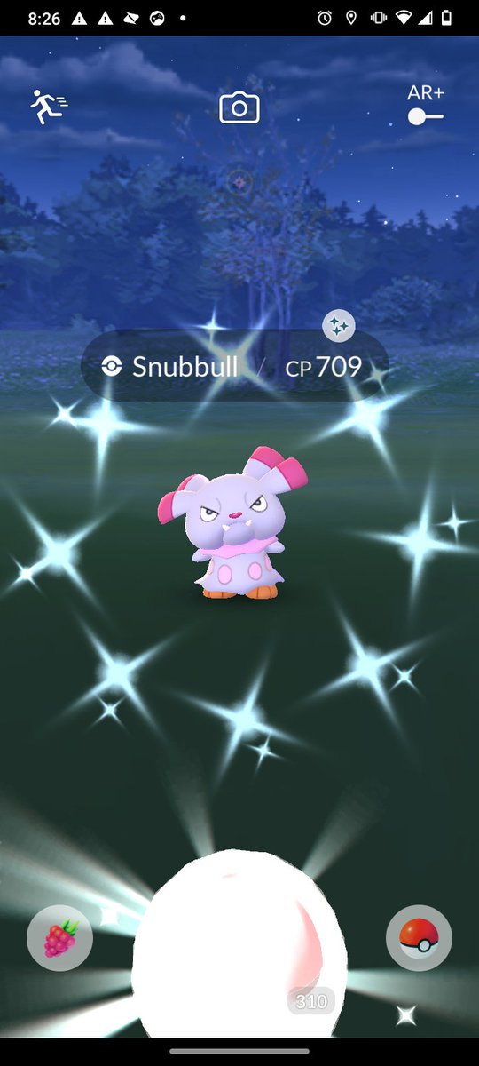 all_nostalgic's tweet photo. Was on my nightly walk the other day playing Pokemon Go and found this Shiny Snubull aka Blue'sClues.
#ShinyCheck #ShinyPokemon #Snubull https://t.co/GSGckJoNOm