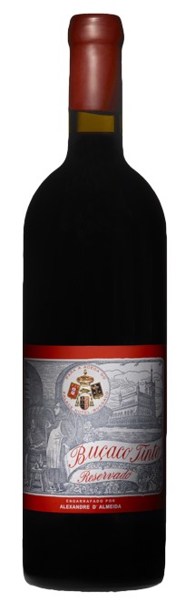 Winehouseportu1's tweet photo. Buçaco 2002 red wine results of partnership between Alexandre Almeida and Dirk Niepoort 2002 Red Wine#winehouseportugal #winelovers #winesportugal #portwine #vintage #winestagram #winery #winelovers #vinhos #winetime #winetasting #vinho #wineoclock #winel https://t.co/S6NIYREHE2 https://t.co/AmvISGhe8A
