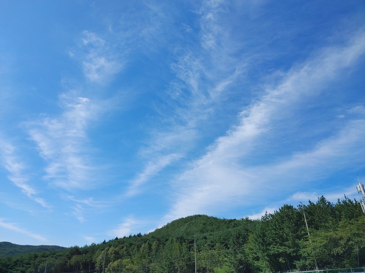 박진혁 tweet media