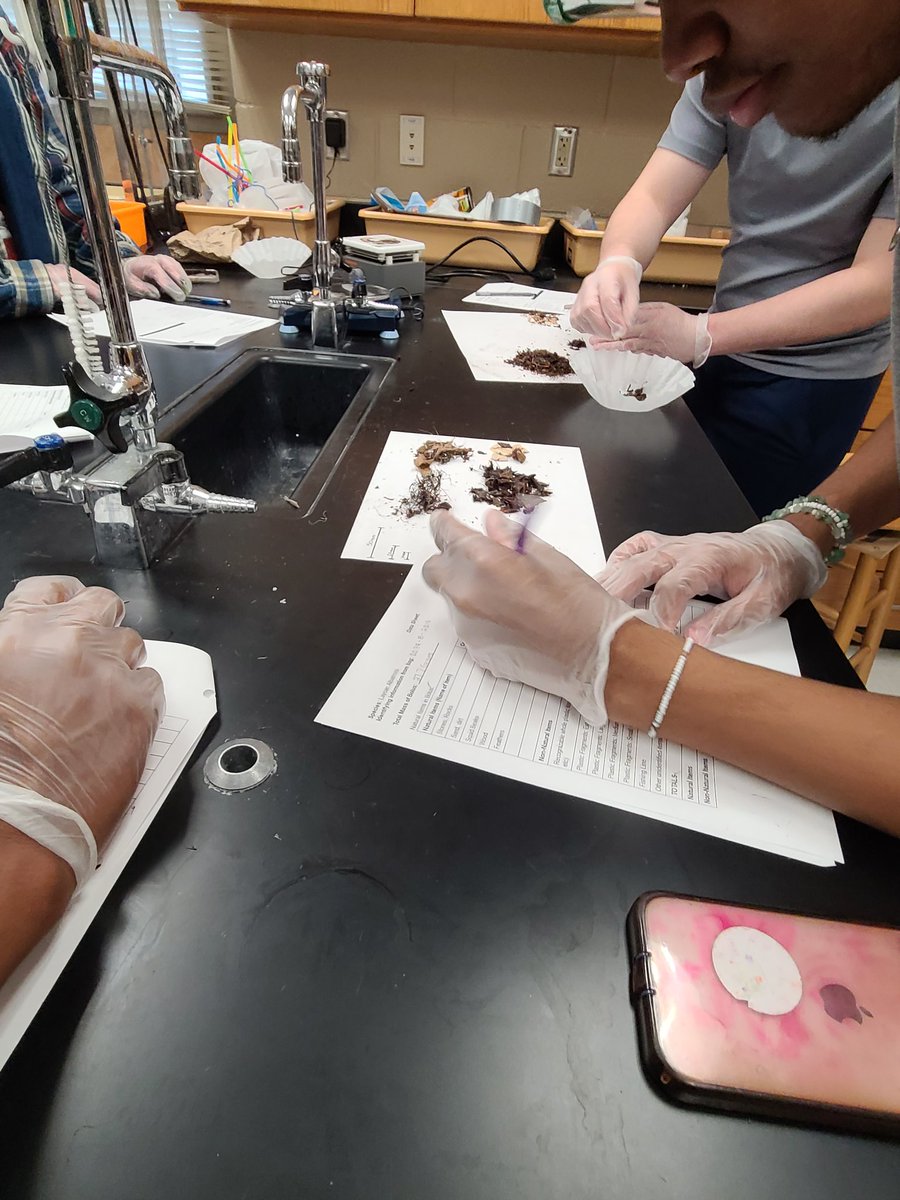 Ecology explored the effects of plastics in the ocean on the Laysan Albatross.