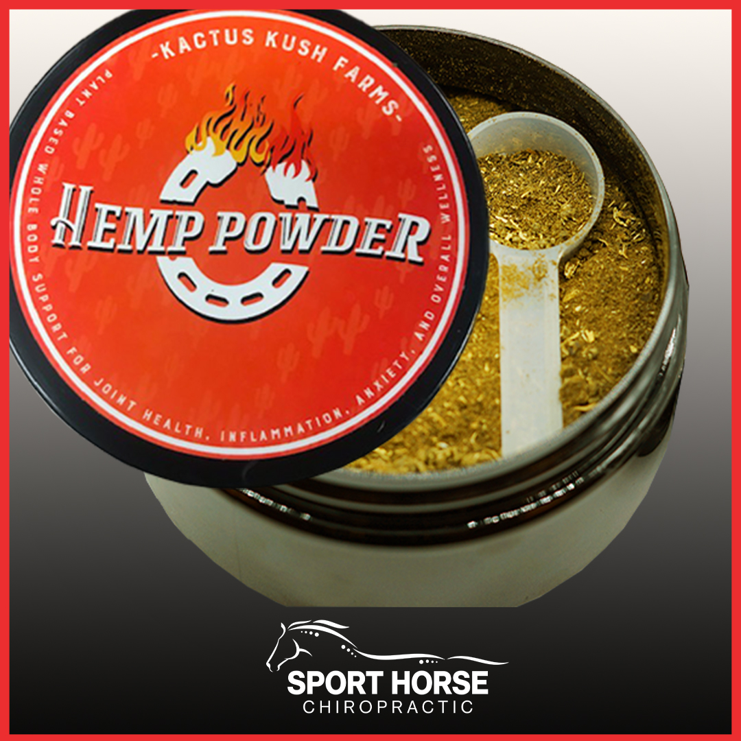 drmikeadney's tweet photo. #SportHorse #Chiropractic offers #CBD products for #people, #horses, and #dogs. 

Feature product:  CBD #Equine #CBDFeedSupplement - Plant based whole body support for animals, and people. 

Shop Here: https://t.co/wVpjlrg8dX https://t.co/dPF1alzHIK