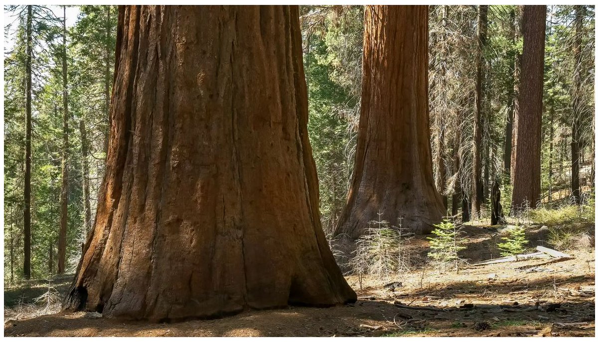 Emily S. Davidson (@esd108) on Twitter photo 